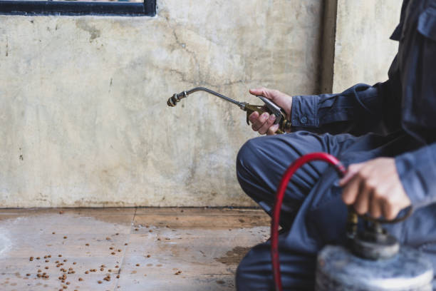 Best Commercial Pest Control Services  in Window Rock, AZ
